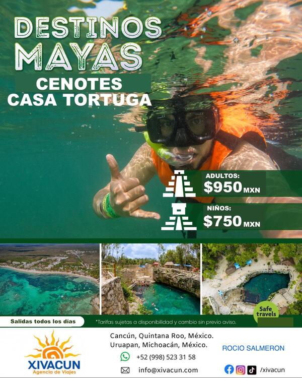 Islas, Cenotes, Snorkel y Otros - Cozumel, Isla Mujeres, Holbox - Xivacun