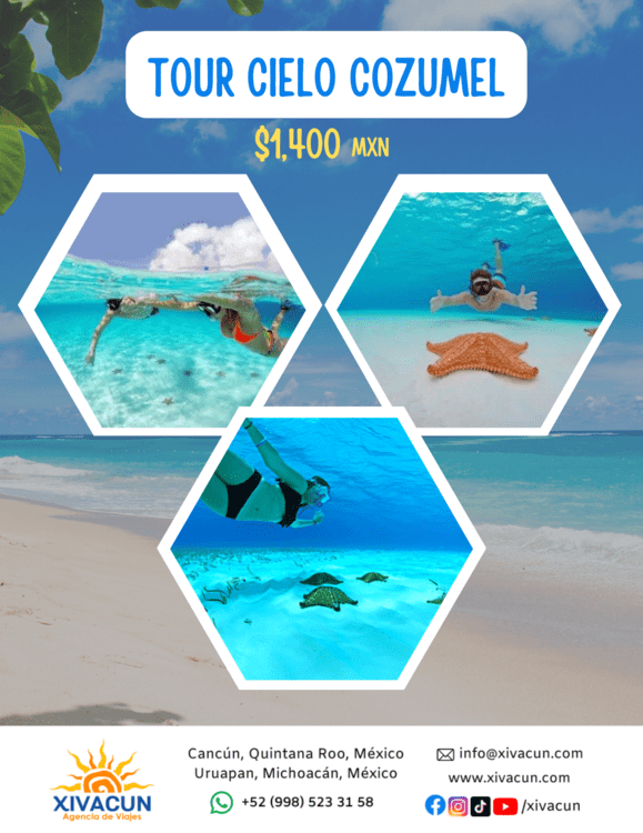 Islas, Cenotes, Snorkel y Otros Cozumel, Isla Mujeres, Holbox Xivacun